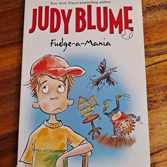 A BOX OF FUDGE by Judy Blume ~ 4 Books ~ Box Set ~ superfudge, fourth grade... - Picture 8 of 12
